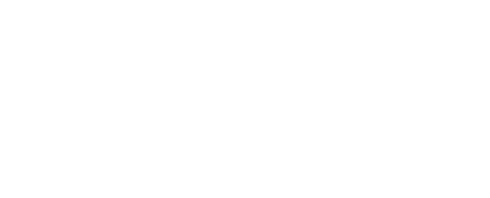 storm orchestra logo and parachute